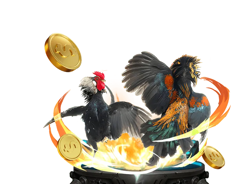 Video Slot hiện đại với tính năng bonus